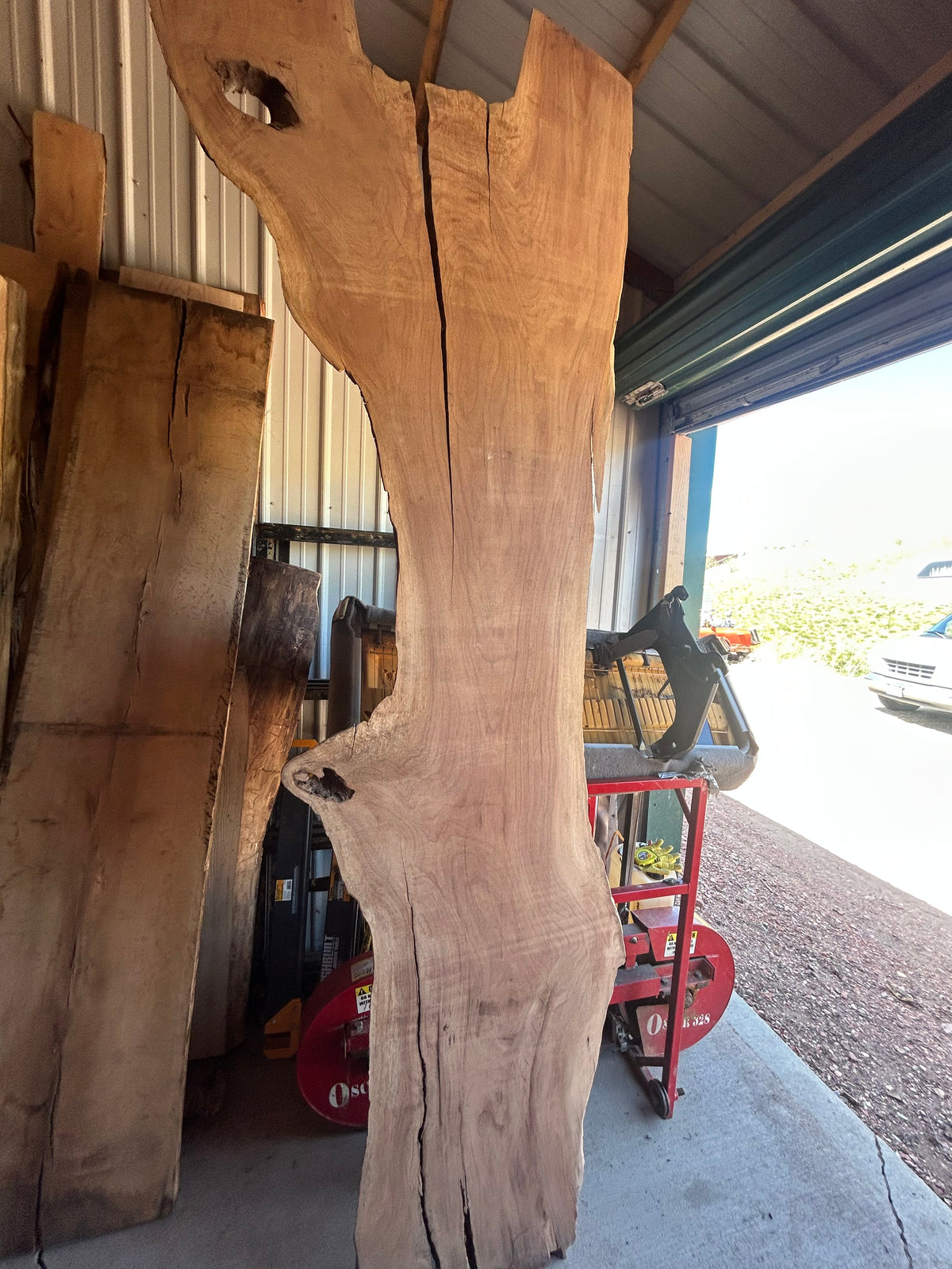 Raw live edge walnut slab selected for the epoxy river dining table